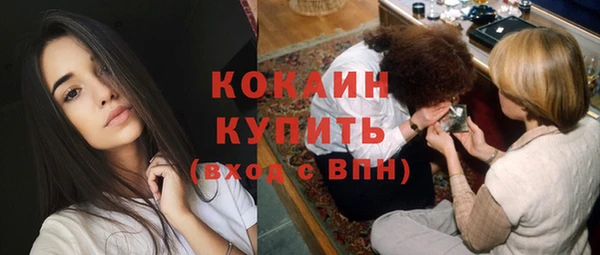 мескалин Бородино