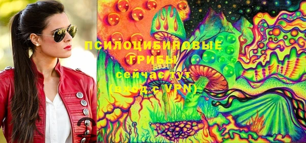 дурь Бронницы