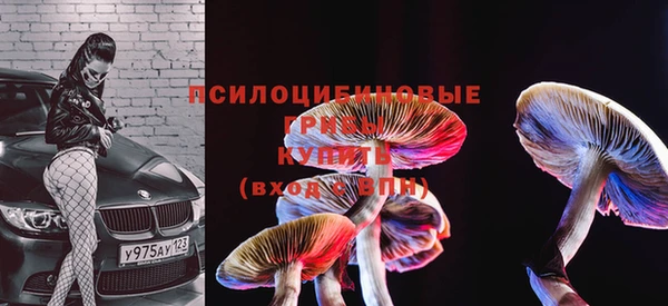 дурь Бронницы