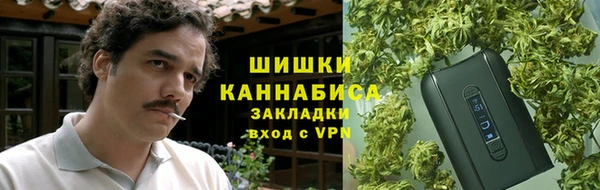 дурь Бронницы